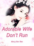 Cover-Bild zum Titel 'Adorable Wife, Don't Run' von 'Meng BaoBao'