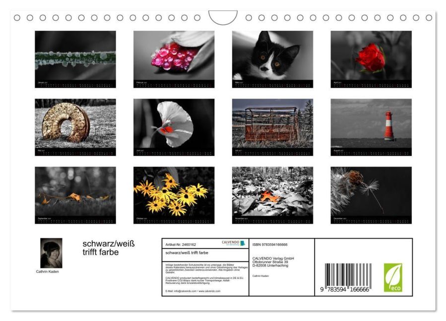 InsideView 5