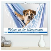 Welpen in der Hängematte (hochwertiger Premium Wandkalender 2026 DIN A2 quer), Kunstdruck in Hochglanz - Fotodesign Verena Scholze