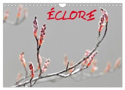 Cover-Bild zum Titel 'ÉCLORE (Calendrier mural 2026 DIN A4 vertical), CALVENDO calendrier mensuel' von 'Patrice Thébault'