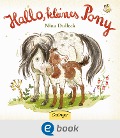 Cover-Bild zum Titel 'Hallo, kleines Pony!' von 'Nina Dulleck'