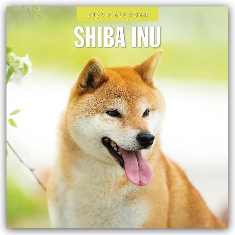 Shiba Inu 2025 - 16-Monatskalender - 