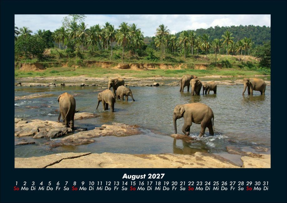 InsideView 12