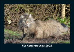 Cover-Bild zum Titel 'Für Katzenfreunde 2025 Fotokalender DIN A5' von 'Tobias Becker'