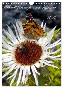 Cover-Bild zum Titel 'Schmetterlilnge und Blumen (Wandkalender 2026 DIN A4 hoch), CALVENDO Monatskalender' von ''