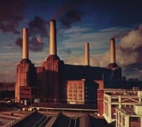 Cover-Bild zum Titel 'Animals' von 'Floyd Pink'