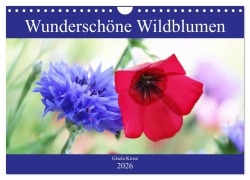 Wunderschöne Wildblumen (Wandkalender 2026 DIN A4 quer), CALVENDO Monatskalender - Gisela Kruse