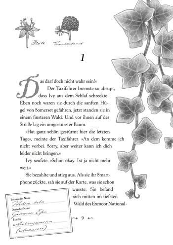 InsideView 5