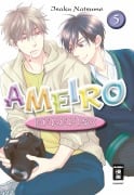 Cover-Bild zum Titel 'Ameiro Paradox 05' von 'Isaku Natsume'