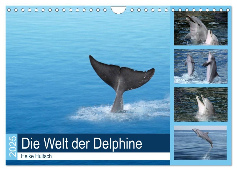 Die Welt der Delphine (Wandkalender 2025 DIN A4 quer), CALVENDO Monatskalender - Heike Hultsch