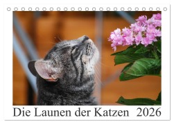 Cover-Bild zum Titel 'Die Launen der Katzen 2026 (Tischkalender 2026 DIN A5 quer), CALVENDO Monatskalender' von 'Anna Kropf'