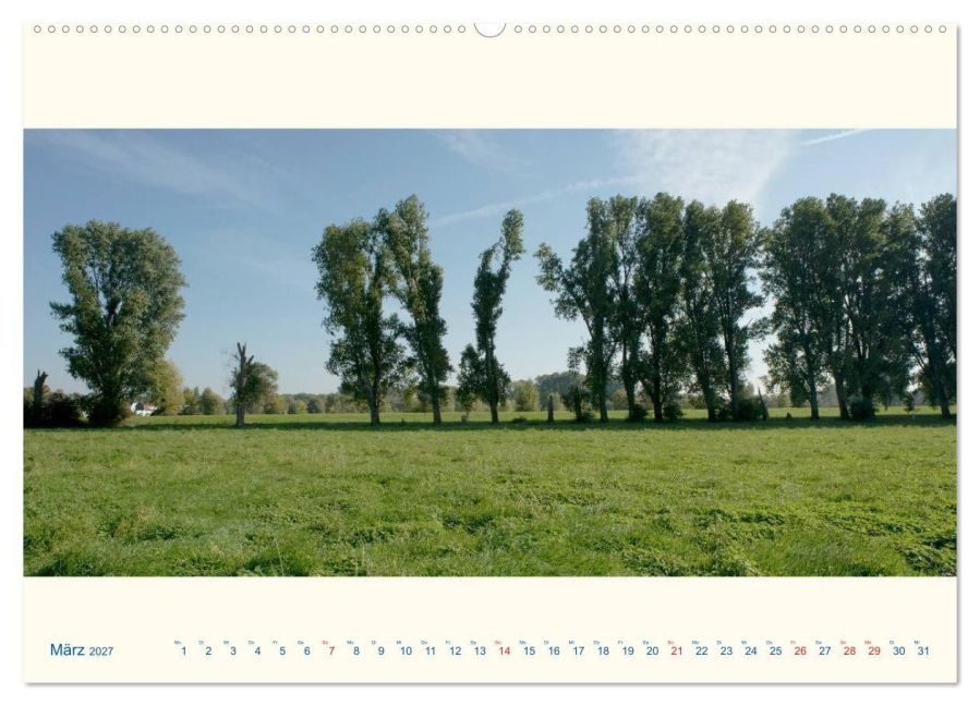 InsideView 7