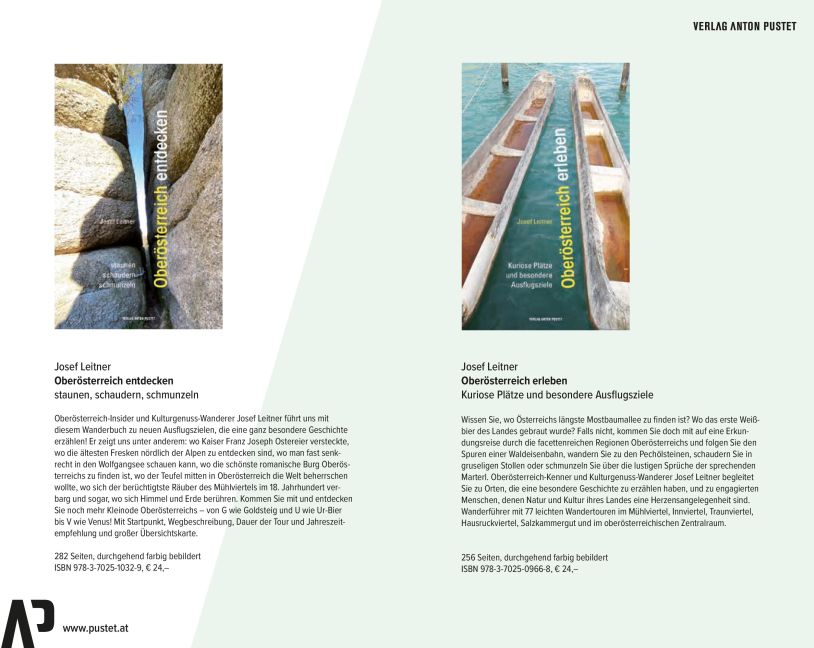 InsideView 11