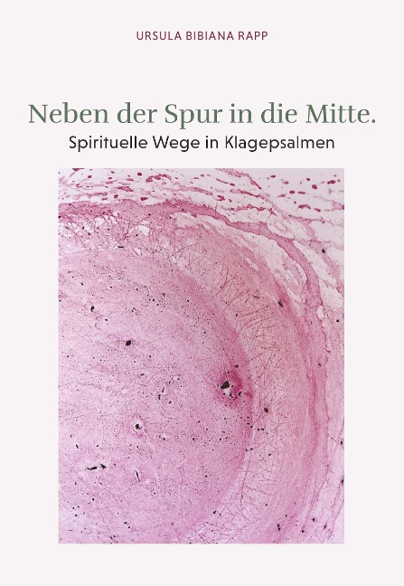 Neben der Spur in die Mitte - Ursula Rapp