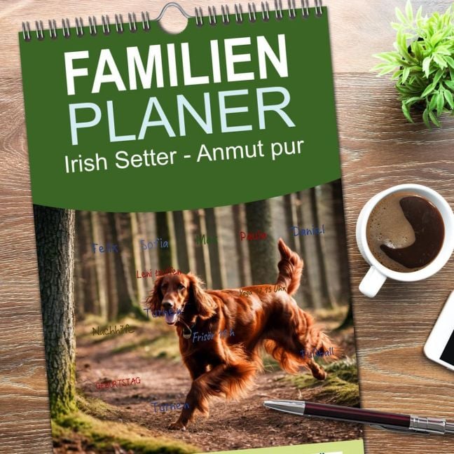 InsideView 1
