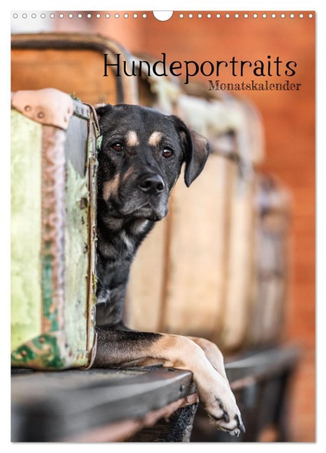 Hundeportraits - Monatskalender (Wandkalender 2026 DIN A3 hoch), CALVENDO Monatskalender - Bc Tierfotografie Bianca Clemens