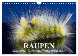 Cover-Bild zum Titel 'Raupen - Skurrile Verwandlungskünstler (Wandkalender 2026 DIN A4 quer), CALVENDO Monatskalender' von 'Elisabeth Stanzer'
