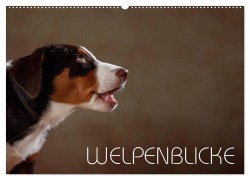 Cover-Bild zum Titel 'Welpenblicke (Wandkalender 2026 DIN A2 quer), CALVENDO Monatskalender' von 'Jana Behr'