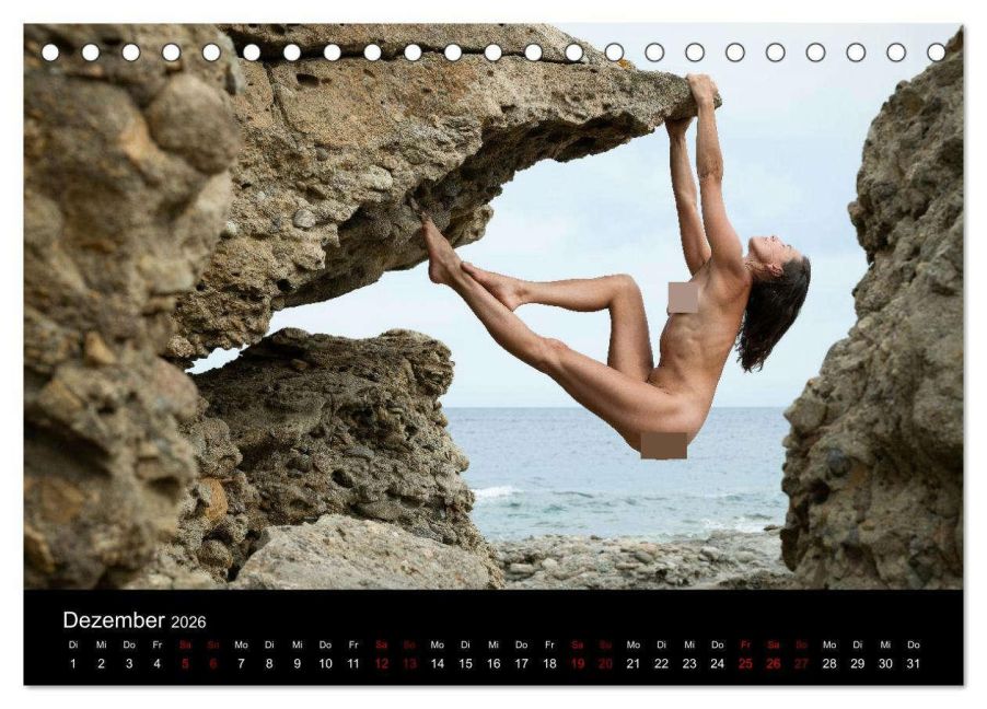InsideView 4