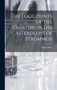 Cover-Bild zum Titel 'The Foot-Prints of the Creator;or The Asterolepis of Stromness' von 'Hugh Miller'