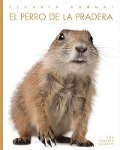 Cover-Bild zum Titel 'El Perro de la Pradera' von 'Kate Riggs'
