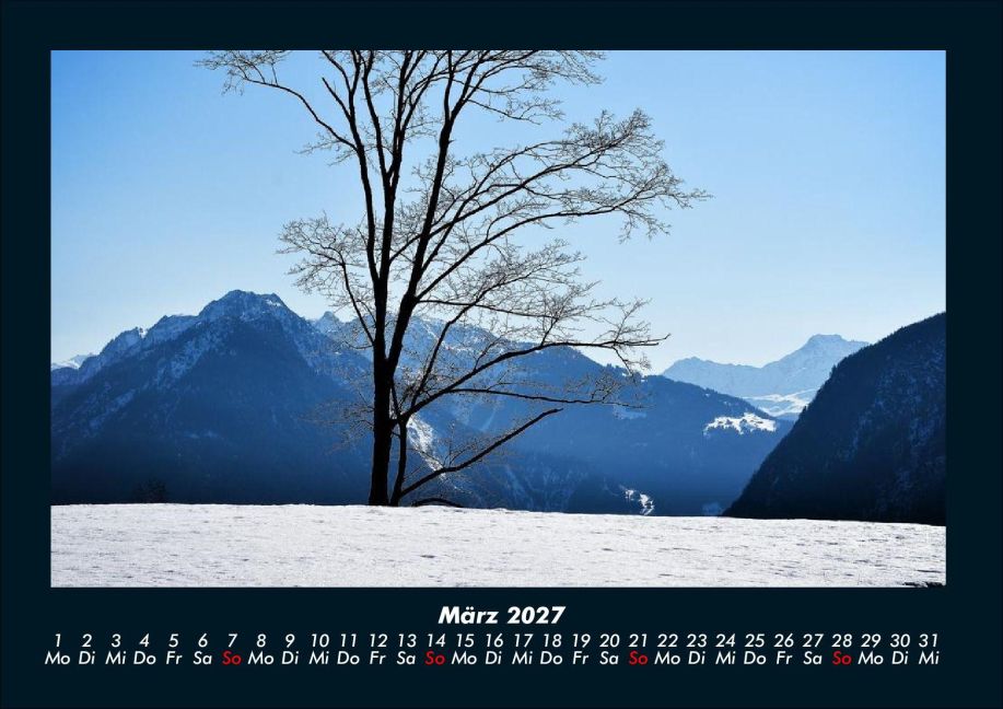 InsideView 7