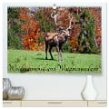 Waidmannsheil und Waidmannsdank (hochwertiger Premium Wandkalender 2025 DIN A2 quer), Kunstdruck in Hochglanz - Christa Kramer