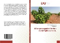 Cover-Bild zum Titel 'Micropropagation in vitro de Jatropha curcas L.' von 'Samson Daudet Medza Mve, André Toussaint, Guy Mergeai'