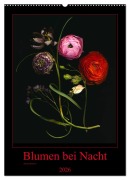 Cover-Bild zum Titel 'Blumen bei Nacht (Wandkalender 2026 DIN A2 hoch), CALVENDO Monatskalender' von 'Ramona Reimann'