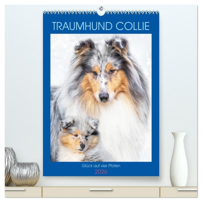 Traumhund Collie - Glück auf vier Pfoten (hochwertiger Premium Wandkalender 2026 DIN A2 hoch), Kunstdruck in Hochglanz - Sigrid Starick