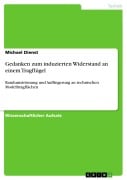 Cover-Bild zum Titel 'Gedanken zum induzierten Widerstand an einem Tragflügel' von 'Michael Dienst'