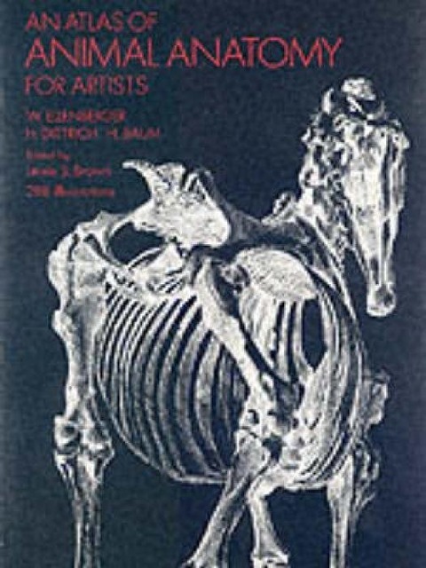 An Atlas of Animal Anatomy for Artists - W. Ellenberger, Francis A Davis