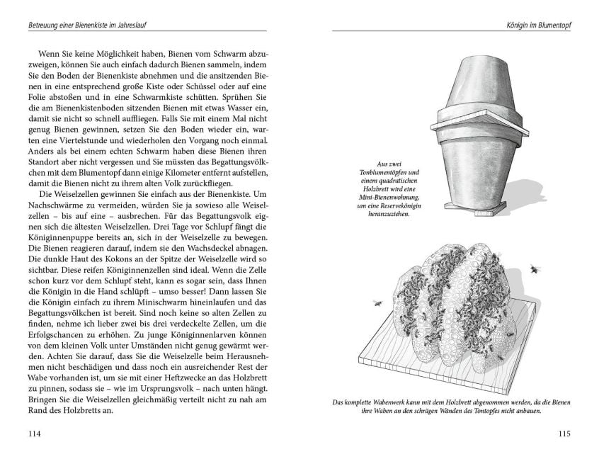 InsideView 3