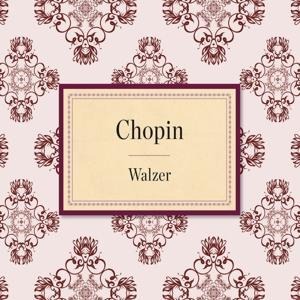 Chopin: Walzer - Various
