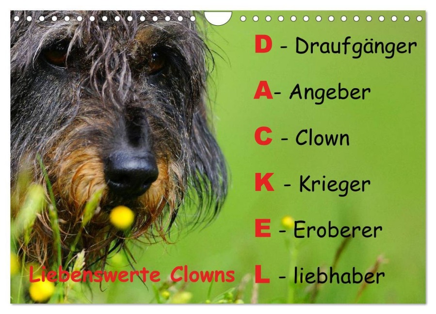 Liebenswerte Clowns (Wandkalender 2026 DIN A4 quer), CALVENDO Monatskalender - Piet G.