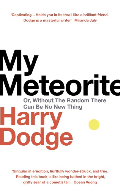 My Meteorite - Harry Dodge