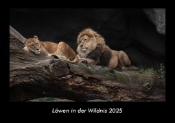 Cover-Bild zum Titel 'Löwen in der Wildnis 2025 Fotokalender DIN A3' von 'Tobias Becker'
