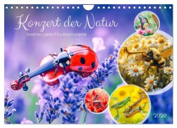 Cover-Bild zum Titel 'Konzert der Natur - Insekten spielen Musikinstrumente (Wandkalender 2026 DIN A4 quer), CALVENDO Monatskalender' von 'Anja Frost'