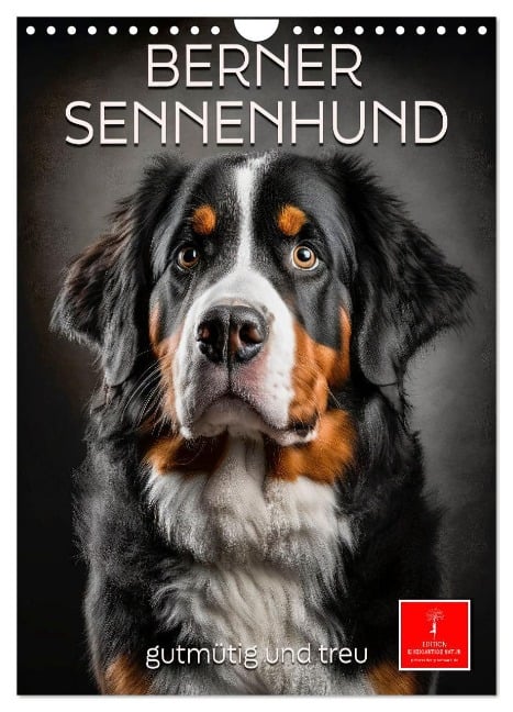 Berner Sennenhund - gutmütig und treu (Wandkalender 2025 DIN A4 hoch), CALVENDO Monatskalender - Peter Roder