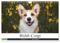 Welsh Corgi - Der Kobold unter den Hunden (Wandkalender 2025 DIN A4 quer), CALVENDO Monatskalender - Maria Ahrens