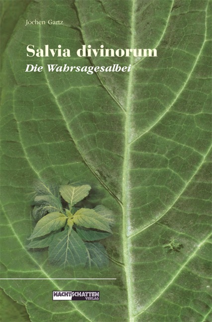 Salvia Divinorum - Die Wahrsagesalbei - Jochen Gartz