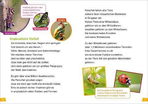 InsideView 5