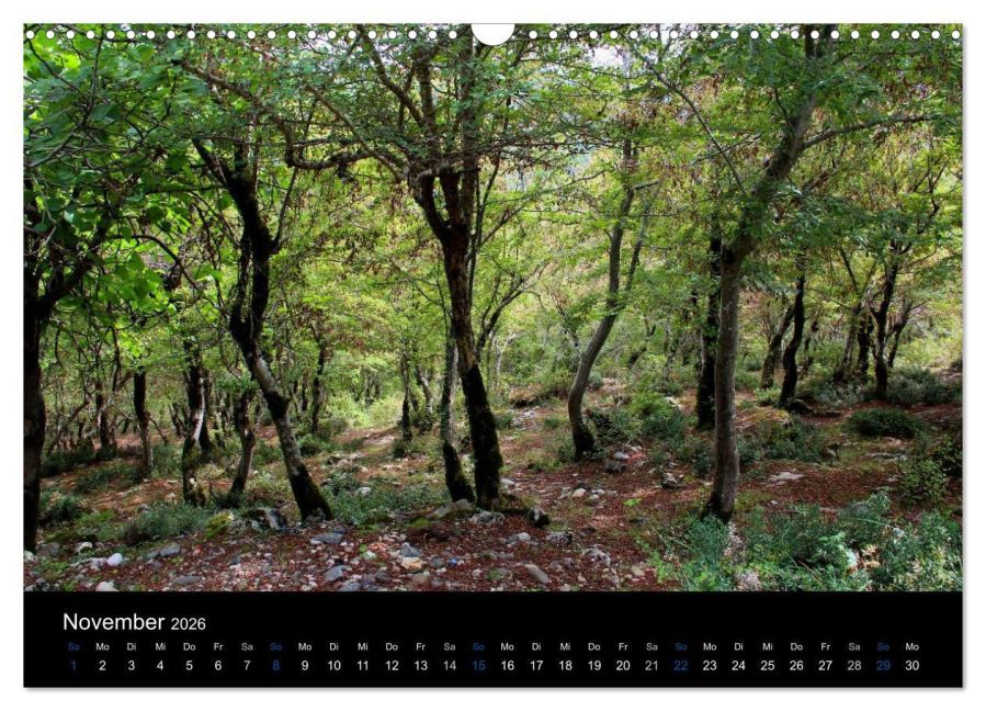 InsideView 3