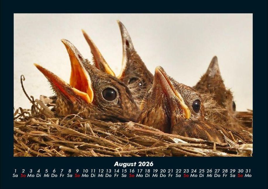 InsideView 12
