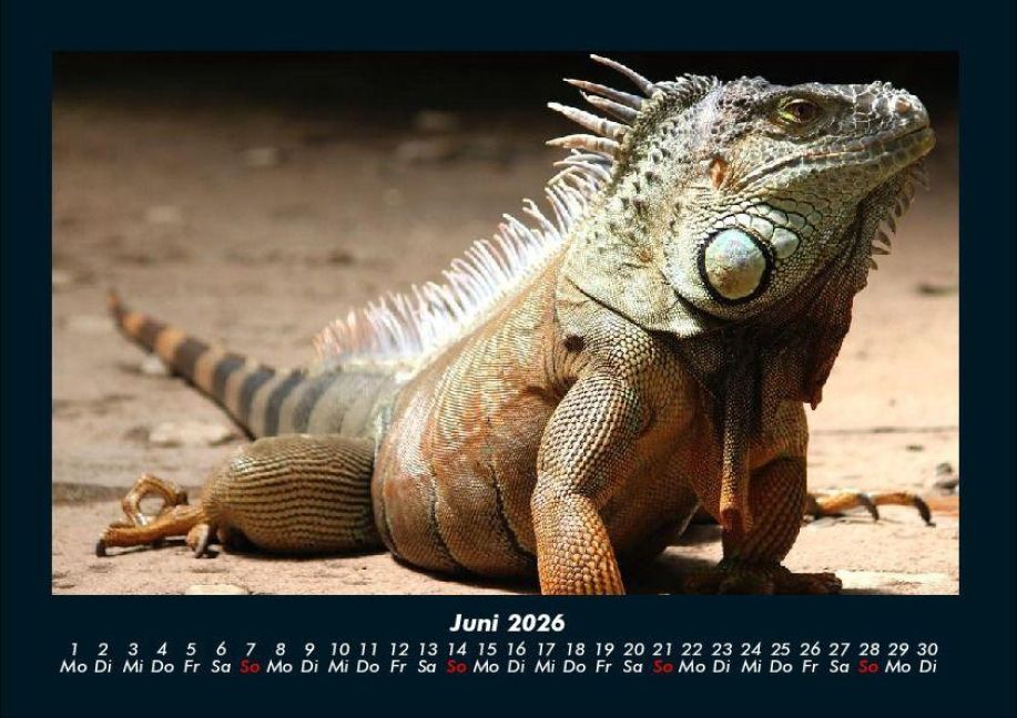 InsideView 10