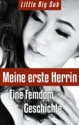 Cover-Bild zum Titel 'Meine erste Herrin' von 'Little Big Sub'