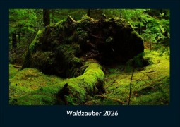 Cover-Bild zum Titel 'Waldzauber 2026 Fotokalender DIN A4' von 'Kevin Heber, Tobias Schmitt'