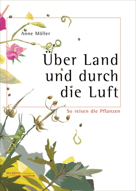 Über Land und durch die Luft - Anne Möller