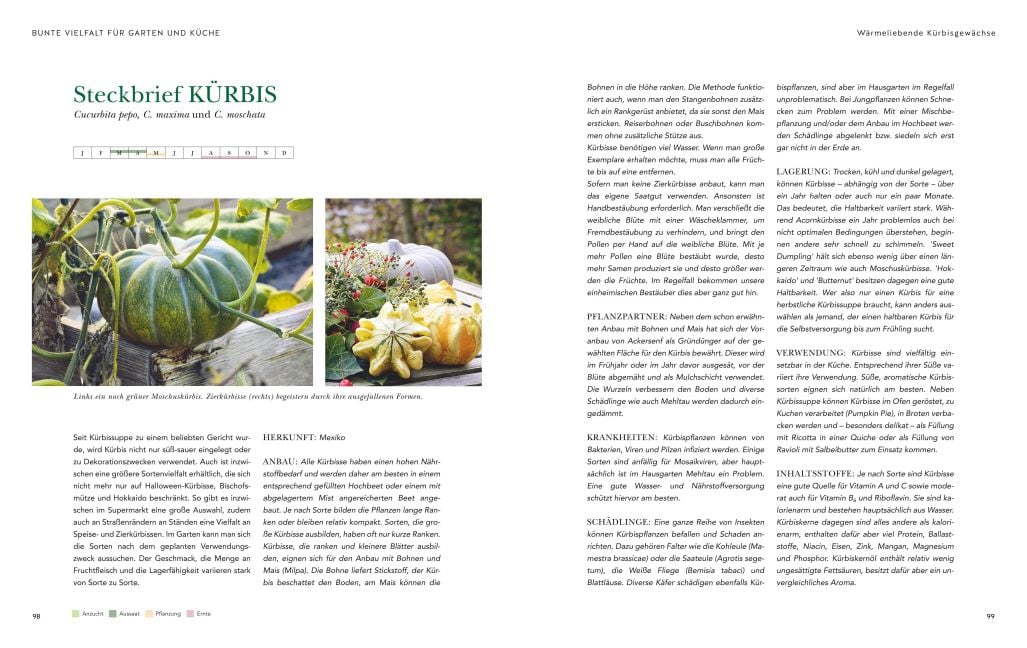 InsideView 6