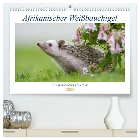 Afrikanische Weißbauchigel (hochwertiger Premium Wandkalender 2025 DIN A2 quer), Kunstdruck in Hochglanz - Andreas Und Marina Zimmermann Fotografie Gbr